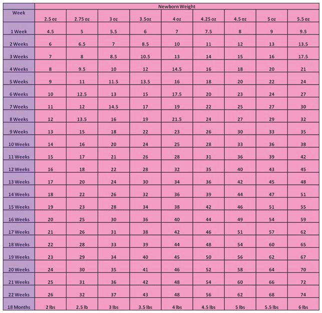 Toy Dog Growth Chart